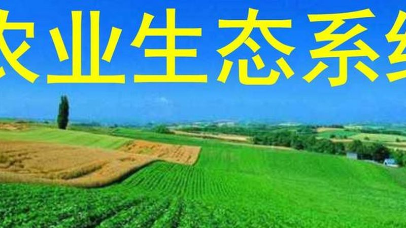 农业产业园规划，资质先行是常被忽略的硬门槛