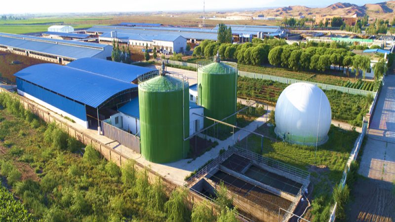 阿克苏苹果种植：气候条件解析与种植要点
