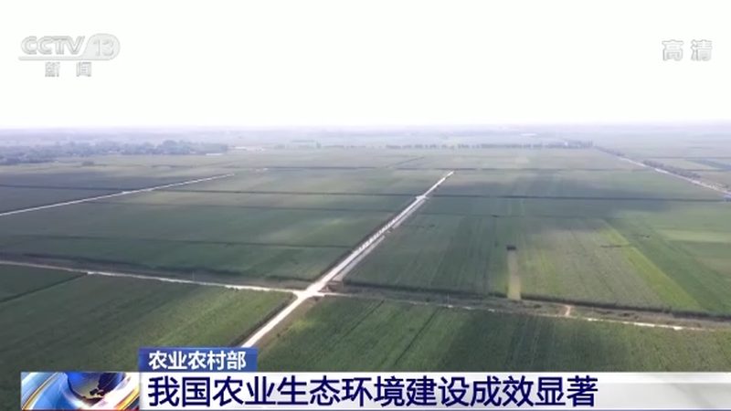 粮食种植土壤检测：标准与重要性