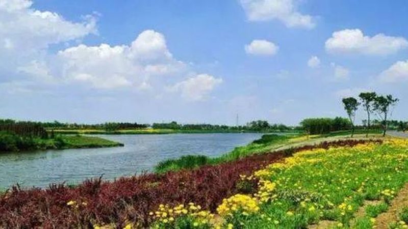2025年设施农业补贴政策最新解读**