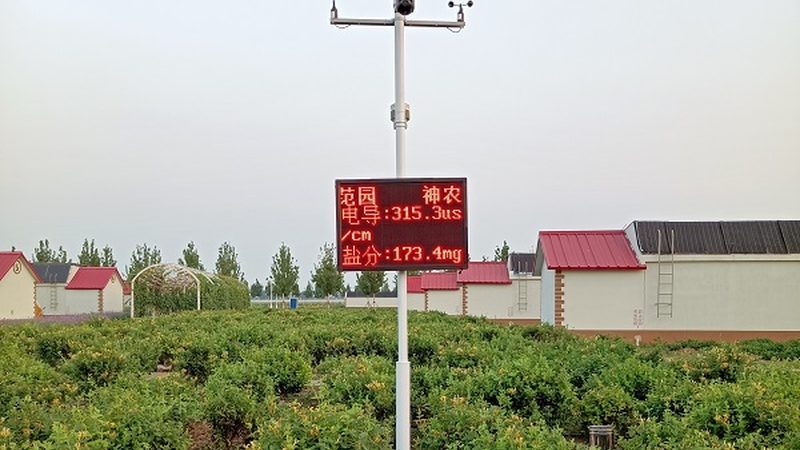 构建现代农业产业链，规范先行，效益提升
