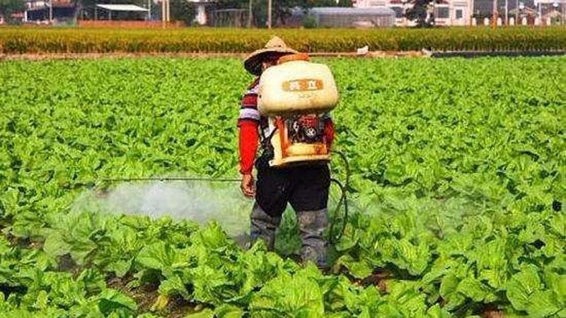 河南智慧农业种植系统：技术革新与成本考量