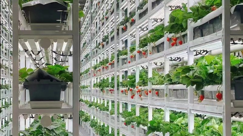 农民专业合作社注册失败，背后原因分析