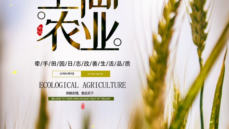 大棚种植成本解析：一亩多少钱的真相**